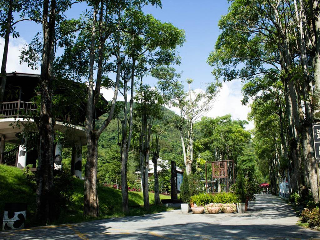 Lin Tea B&B Ruisui Rom bilde